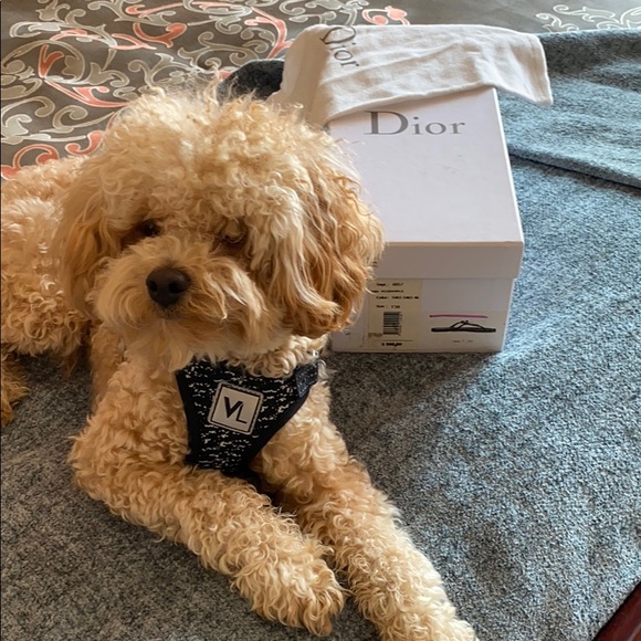 Designer shoes - Picture 5 of 5